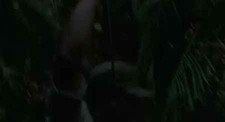 Predator (1987)