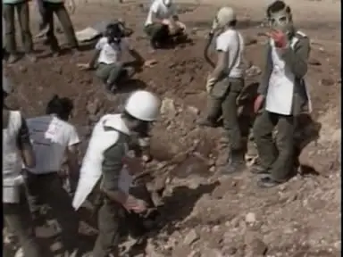 The War Of Lebanon (2006)