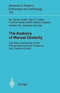 The Anatomy of Manual Dexterity: The New Connectivity of the Primate Sensorimotor Thalamus and Cerebral Cortex