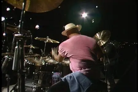 Albert Collins - Live From Austin, Tx (2008)