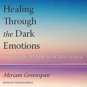 Healing Through the Dark Emotions: The Wisdom of Grief, Fear, and Despair [Audiobook]