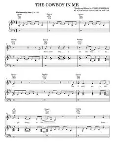 The cowboy in me - Tim McGraw (Piano-Vocal-Guitar)