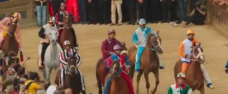 BBC Storyville - The Toughest Horse Race in the World: Palio (2016)