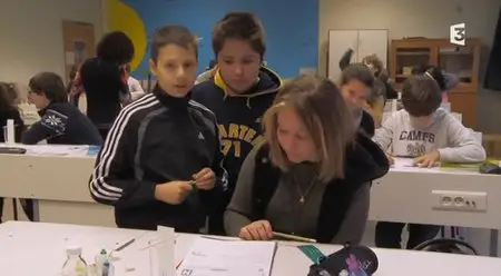 (Fr3) Enfants précoces, le paradoxe (2014)