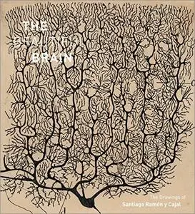 The Beautiful Brain: The Drawings of Santiago Ramón y Cajal