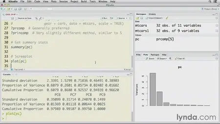 R Statistics Essential Training (2013)