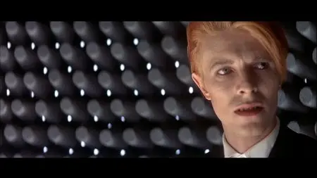 The Man Who Fell To Earth (1976) - (The Criterion Collection - #304) [2 DVD9] [2005]