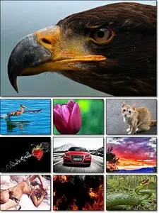 Full Size HD Wallpaper By SmpX 16