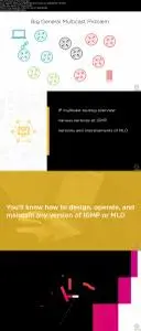 Protocol Deep Dive: IGMP and MLD