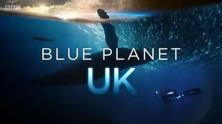 BBC - Blue Planet UK (2019)