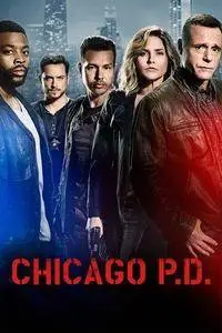 Chicago Police Department S05E13