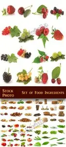 Stock Photo - Set of Food Ingredients