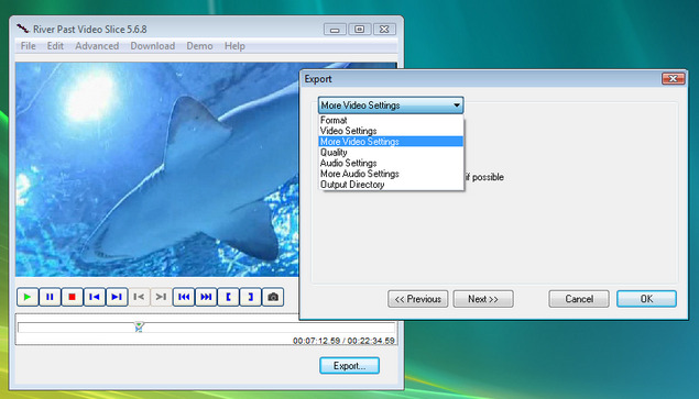 River Past Video Slice 5.6.8