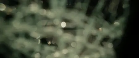 Citadel S02E04