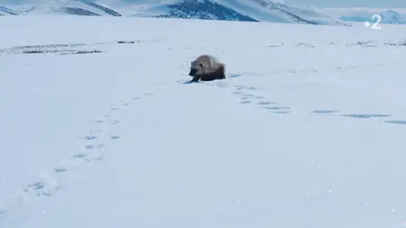 Mammals S01E02