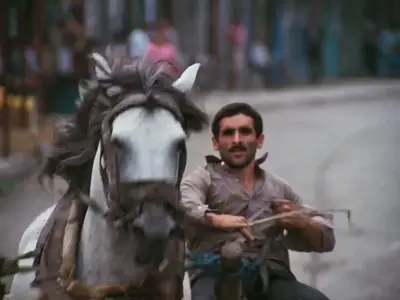 Bashu, the Little Stranger (1991)