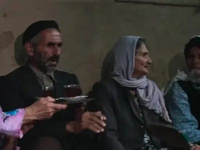 Bashu, the Little Stranger (1991)