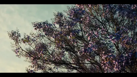 Nobody Wants This S02E08