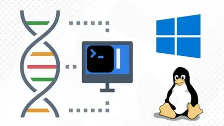 Master The Command Line: From Fastq To Vcf For Ngs Analysis