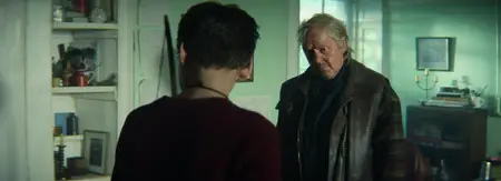28 Years Later (2025)