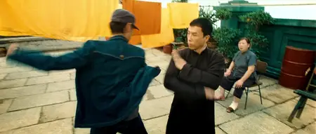 Yip Man 2 (2010)