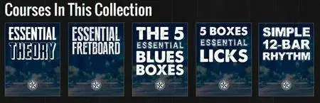 Texas Blues Alley: The Woodshed Lessons - The Essentials Collection