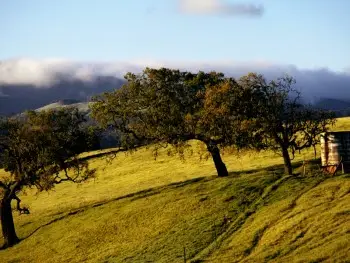 KristanixSoftware ImageBadger Deluxe v4.946