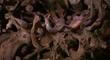 ZDF History - Krieger aus dem Nebel