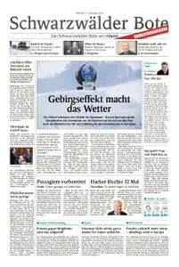 Schwarzwälder Bote Schwenningen - 11. Januar 2019