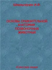 Основы сравнительной анатомии позвоночных животных.