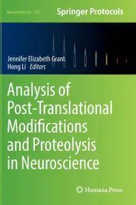 Analysis of Post-Translational Modifications and Proteolysis in Neuroscience