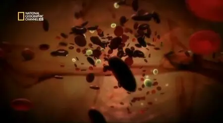 (Nat Geo) L'incroyable machine humaine (2013)