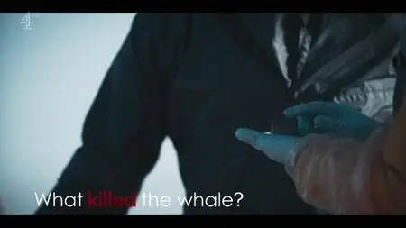 CH4. - What Killed the Whale? (2022)