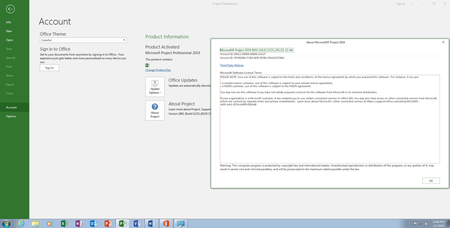 Microsoft Office Pro Plus 2019 version 1901 build 11231.20130