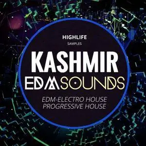 HighLife Samples KASHMIR EDM Sounds WAV MiDi