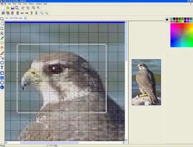 Falco Icon Studio ver.1.8