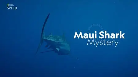 NG. - Maui Shark Mystery (2022)