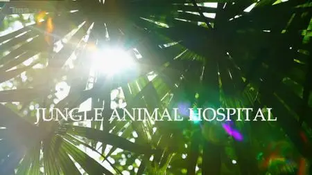 BBC - Natural World: Jungle Animal Hospital (2016)