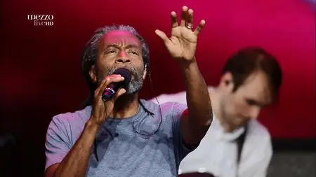 Bobby McFerrin - Live at Alfa Jazz Festival 2013 [HDTV 1080i]