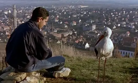Je suis ne d'une cigogne / Children of the Stork - by Tony Gatlif (1999)