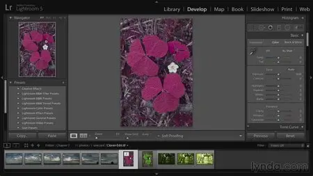Lynda - Lightroom 5: 02 Optimizing Your Photos [repost]