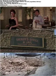 Westworld (1973)