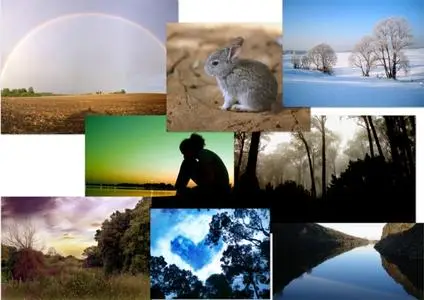 Nature Wallpapers HQ Special Series