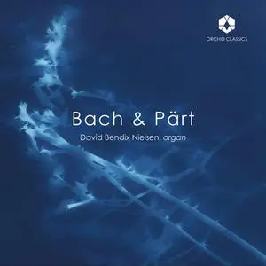 David Bendix Nielsen - J.S. Bach & Arvo Pärt: Organ Works (2022) [Official Digital Download 24/192]