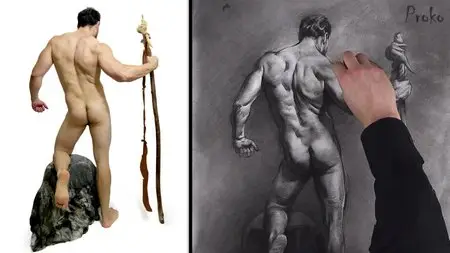 Proko - Figure Drawing Fundamentals Course