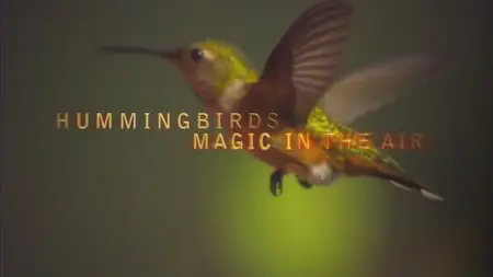Nature: Extraordinary Birds (2010)