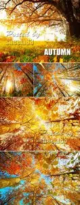 Stock Photo - Amazing Autumn Nature