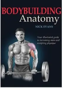 Bodybuilding Anatomy [Repost]