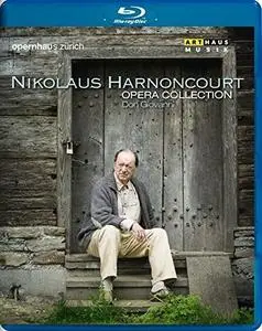 Nikolaus Harnoncourt, Chor und Orchester der Oper Zurich - Mozart: Don Giovanni (2014/2001) [BDRip]