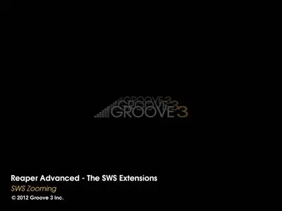 Groove3: Reaper Advanced - SWS Extensions (2012)